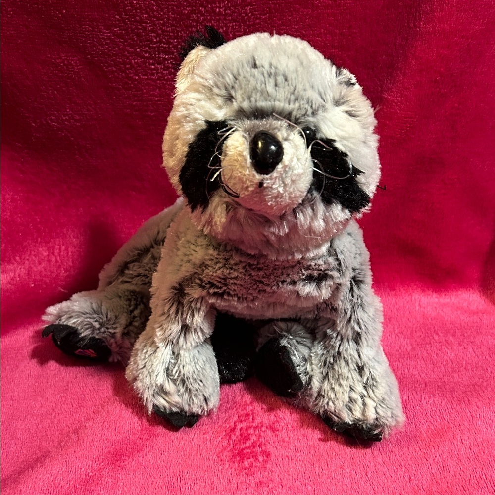 Webkinz Racoon